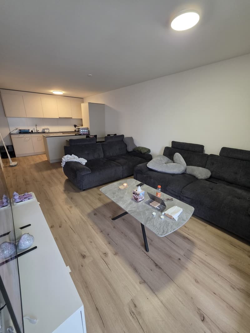 Nachmieter gesucht für Neubau 2.5-Zimmerwohnung in Dottikon (5)