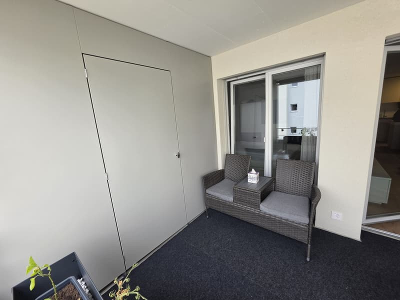 Nachmieter gesucht für Neubau 2.5-Zimmerwohnung in Dottikon (12)
