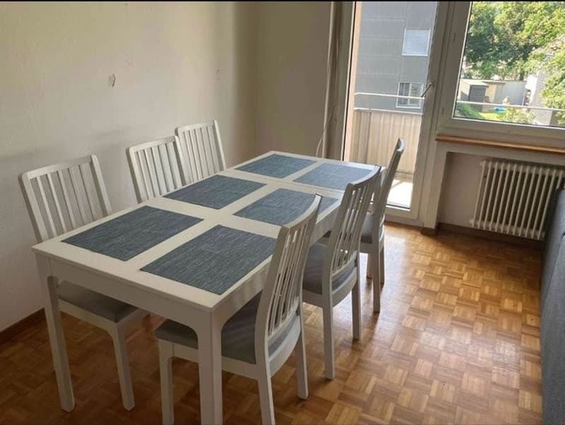 3,5 Zimmer Wohnung- 2er. WG (6)