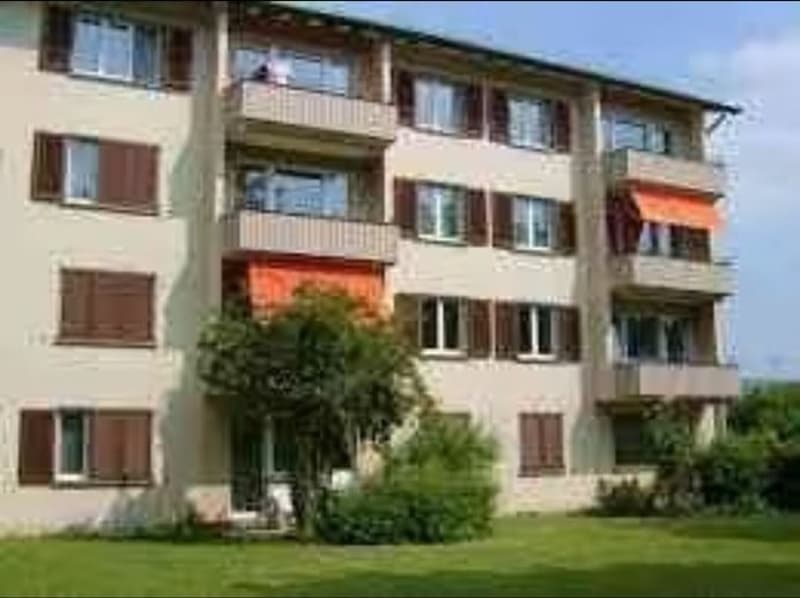 3,5 Zimmer Wohnung- 2er. WG (10)