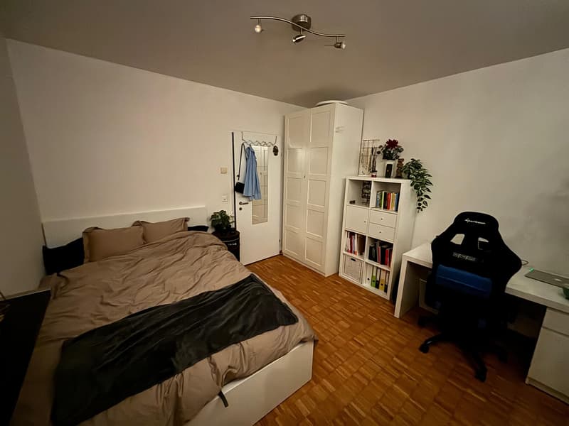 Furnished room in a bright, spacious Zurich triplex November only (7)