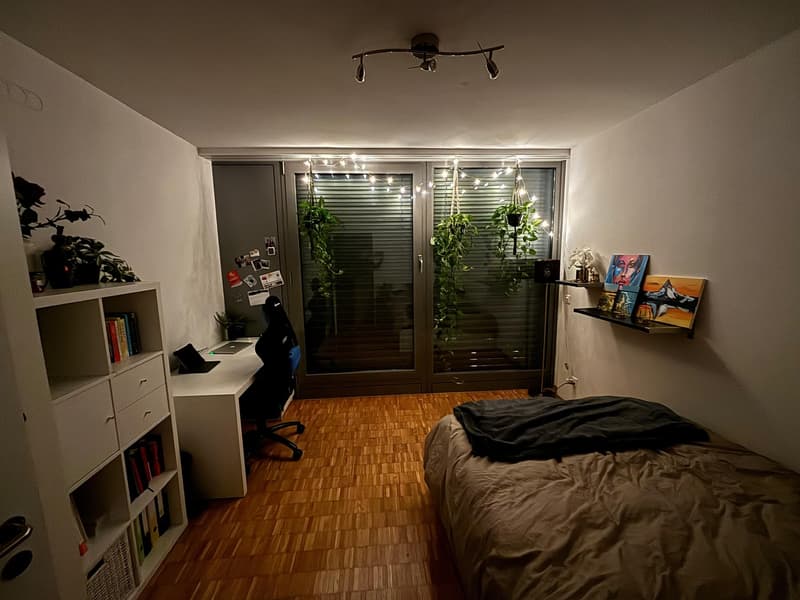 Furnished room in a bright, spacious Zurich triplex November only (8)