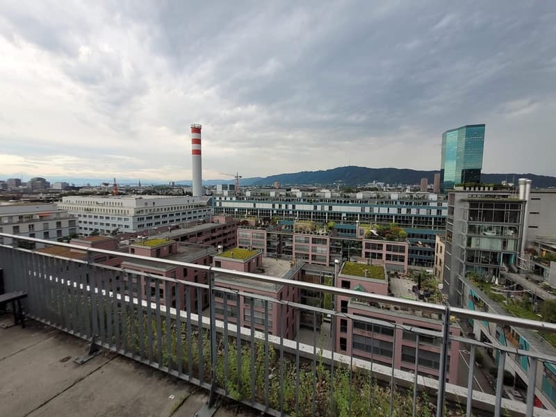 Furnished room in a bright, spacious Zurich triplex November only (5)