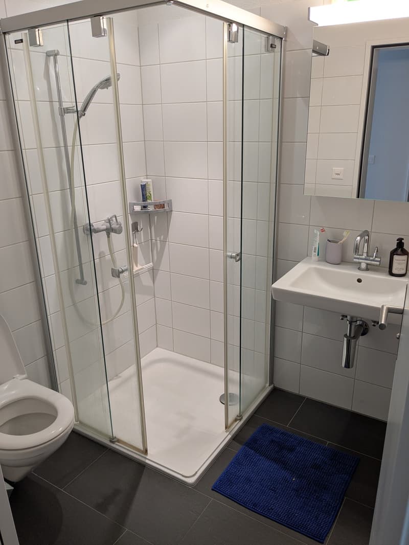 Room available in a bright 4.5 rooms flat. (5)