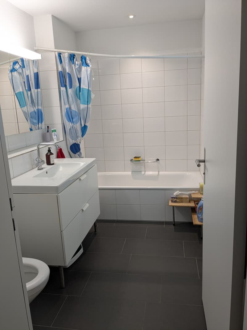 Room available in a bright 4.5 rooms flat. (6)