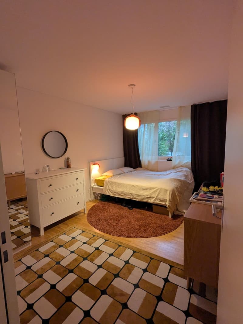 Room available in a bright 4.5 rooms flat. (1)