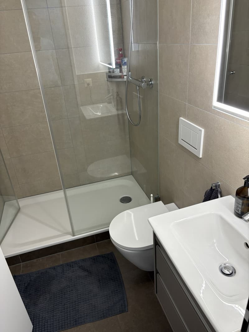 Renovierte, moderne 1-Zimmer Wohnung in Basel ab 1.11.2026 zu vermieten (2)