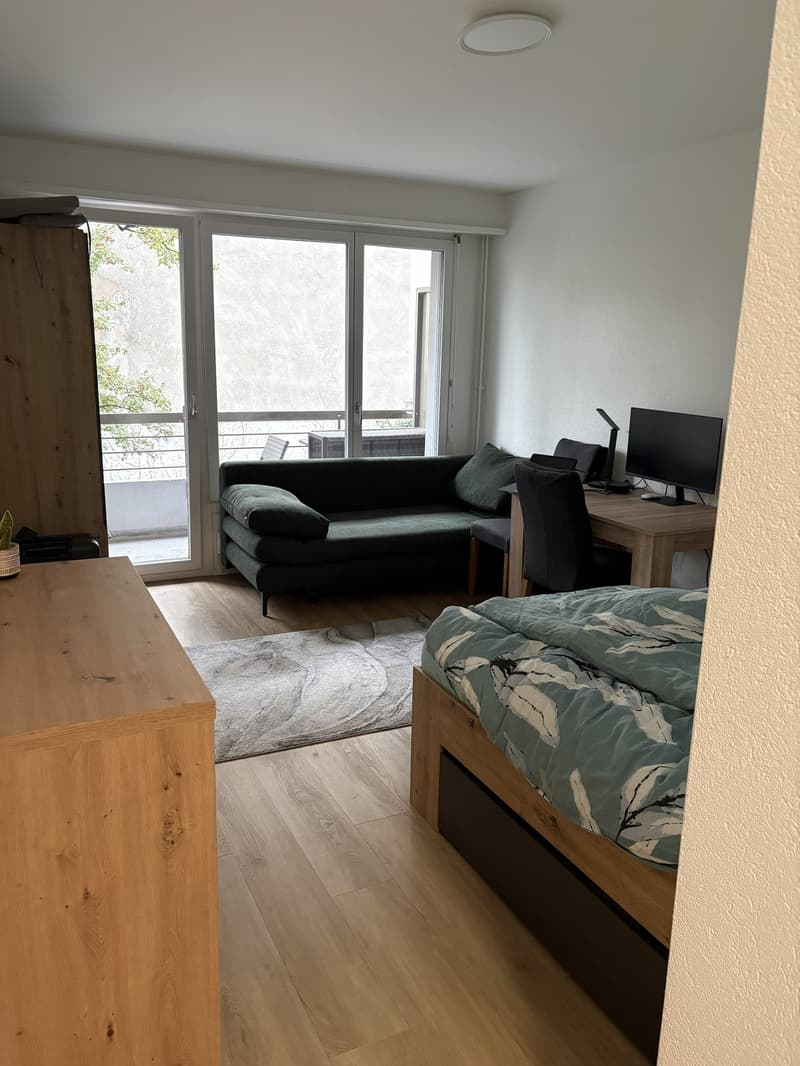 Renovierte, moderne 1-Zimmer Wohnung in Basel ab 1.11.2026 zu vermieten (6)