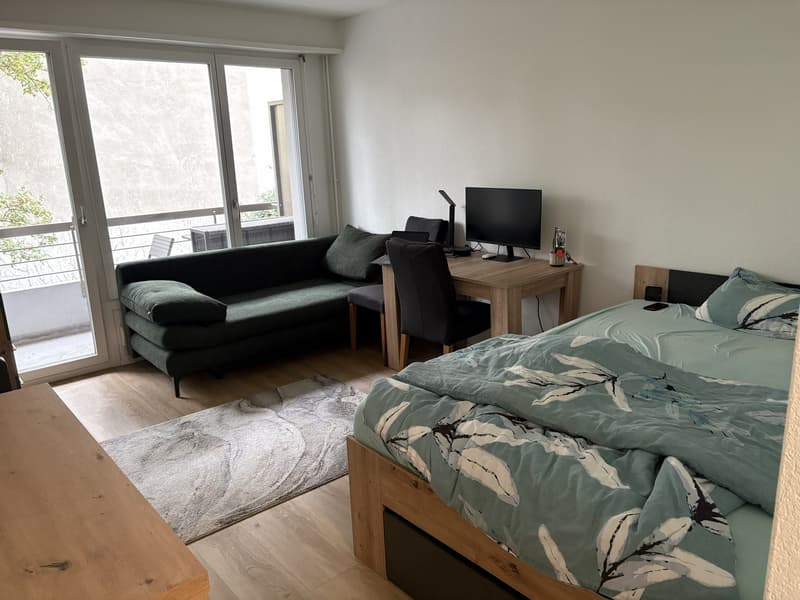 Renovierte, moderne 1-Zimmer Wohnung in Basel ab 1.11.2026 zu vermieten (1)