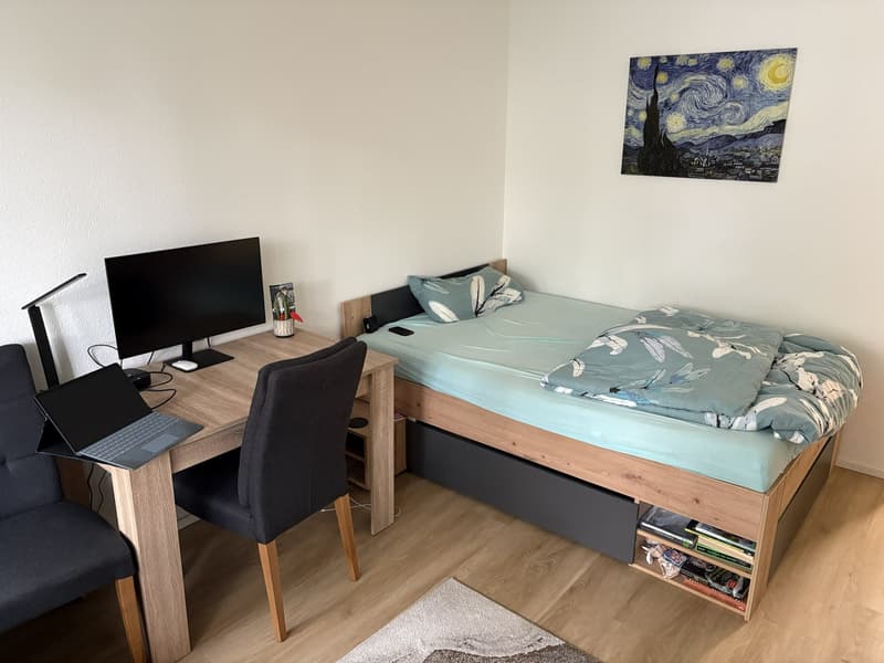 Renovierte, moderne 1-Zimmer Wohnung in Basel ab 1.11.2026 zu vermieten (4)