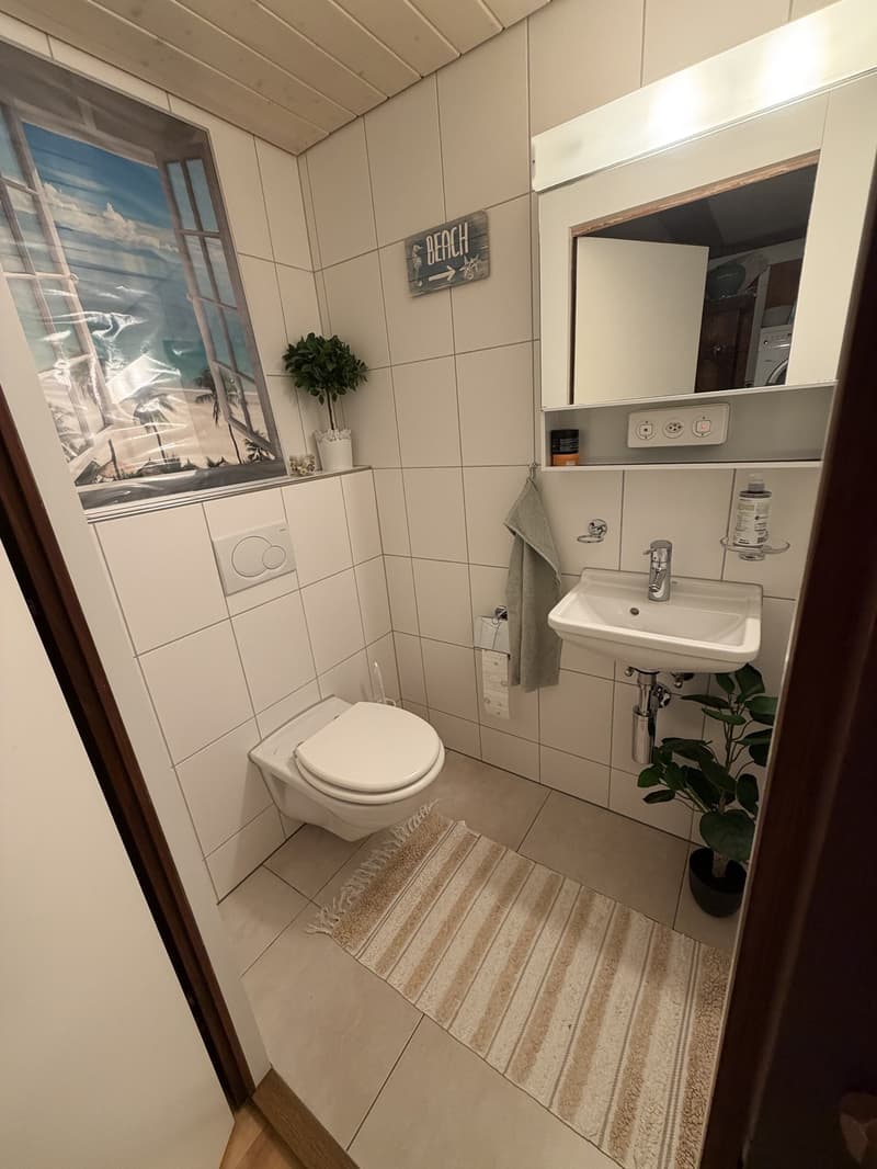 3,5 Zimmer Wohnung mit Blick auf See im Kastanienbaum (13)