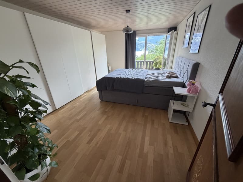 3,5 Zimmer Wohnung mit Blick auf See im Kastanienbaum (7)