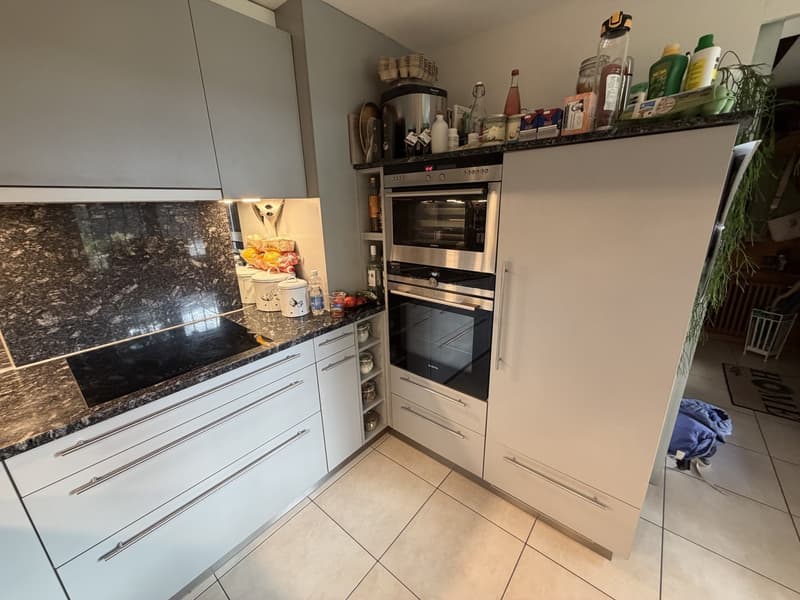 3,5 Zimmer Wohnung mit Blick auf See im Kastanienbaum (9)