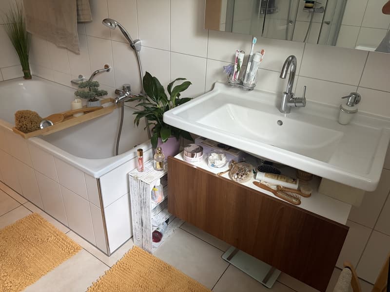 3,5 Zimmer Wohnung mit Blick auf See im Kastanienbaum (6)
