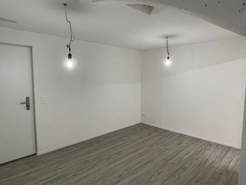 Moderne 4½-Zimmerwohnung mit grossem Sitzplatz in Dällikon (13)