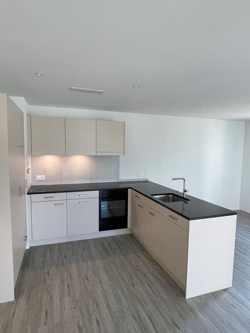 Moderne 4½-Zimmerwohnung mit grossem Sitzplatz in Dällikon (2)