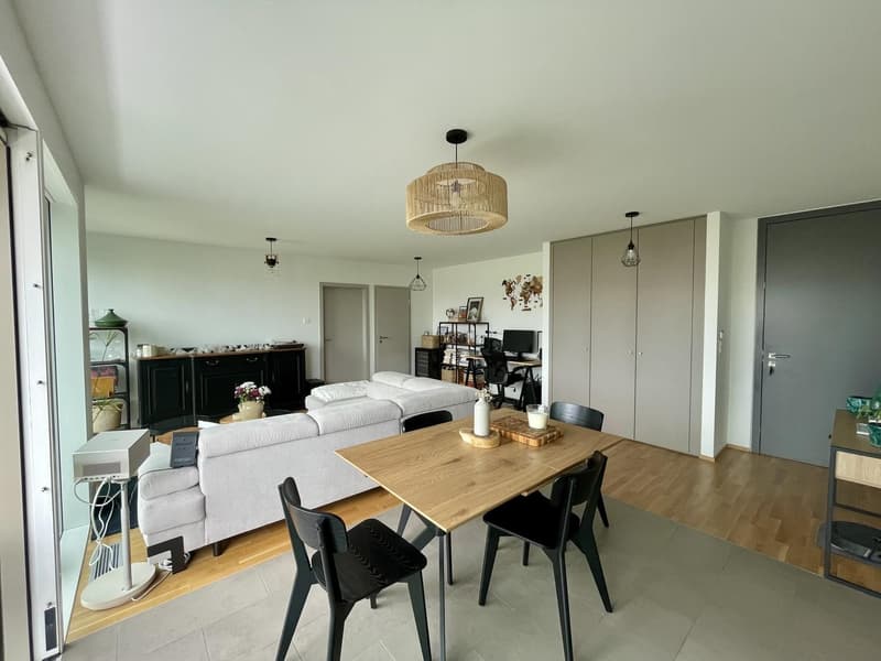 Visites complètes - Appartement de 3 pièces à Chêne-Bourg de 54 m², construit en 2024 (3)