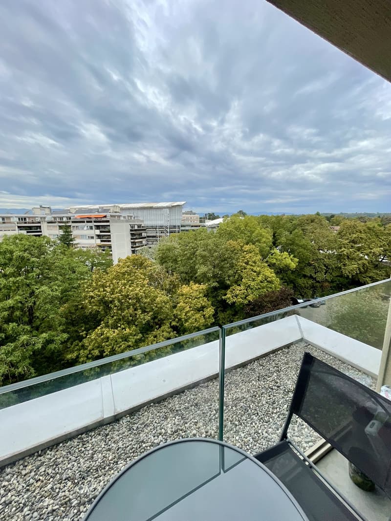Visites complètes - Appartement de 3 pièces à Chêne-Bourg de 54 m², construit en 2024 (5)