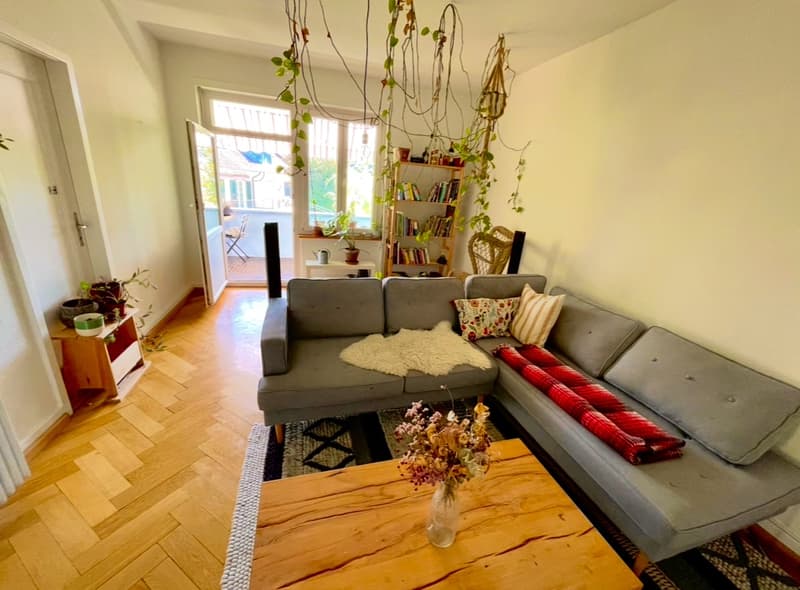 Sunny room with access to terrace surrounded by green- available from 1.11 (3)