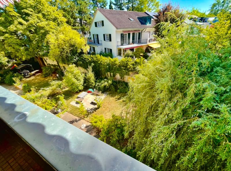 Sunny room with access to terrace surrounded by green- available from 1.11 (5)