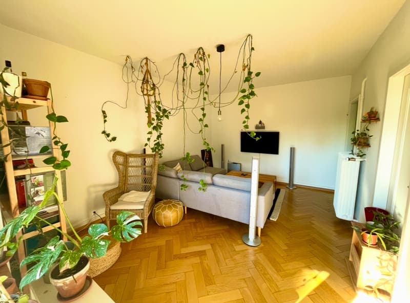 Sunny room with access to terrace surrounded by green- available from 1.11 (1)