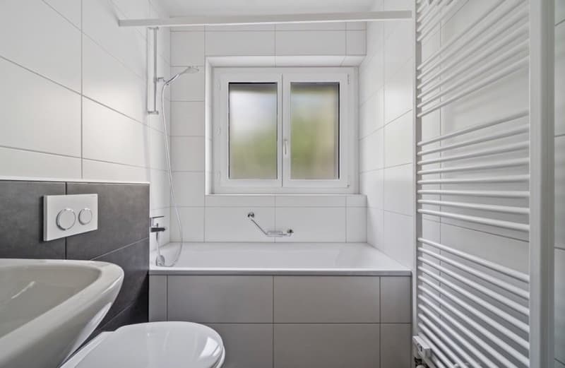 2 WG-Zimmer zu vermieten (4)