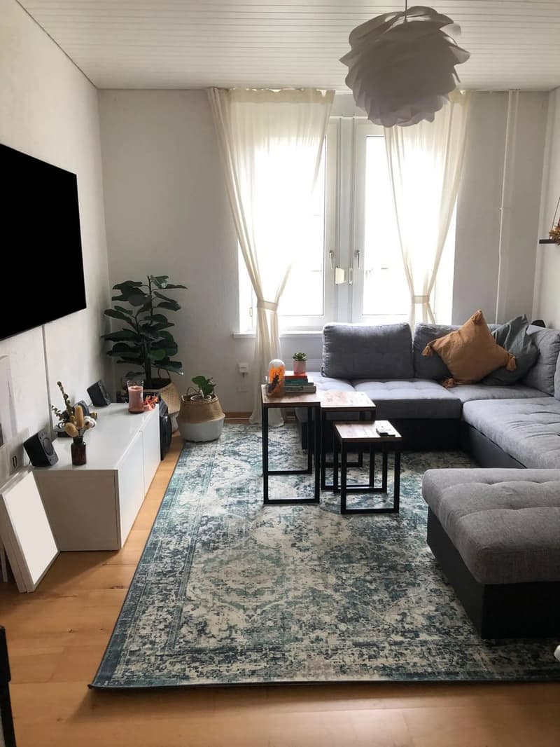 Sehr zentral gelegene, helle 3-Zimmer-Wohnung in Winterthur (1)