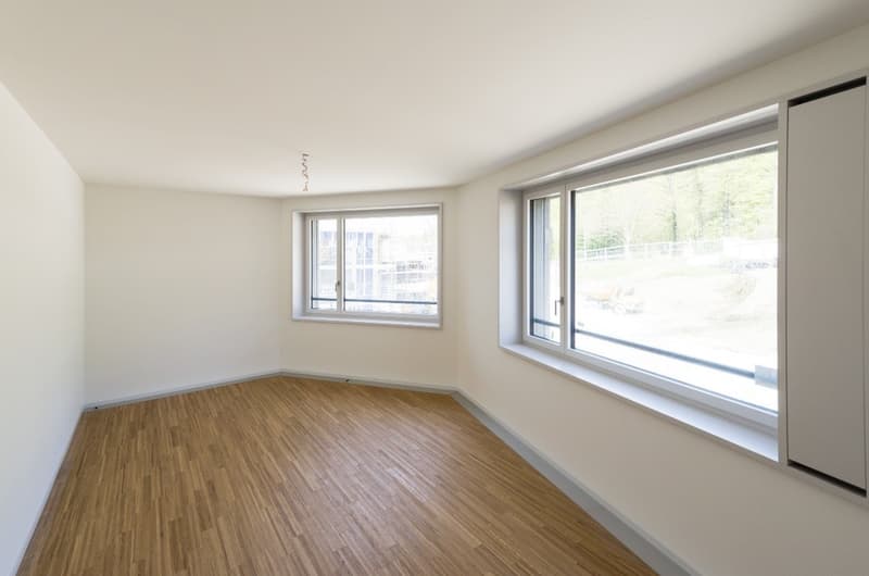 Helle 3.5-Zimmer Wohnung (2)