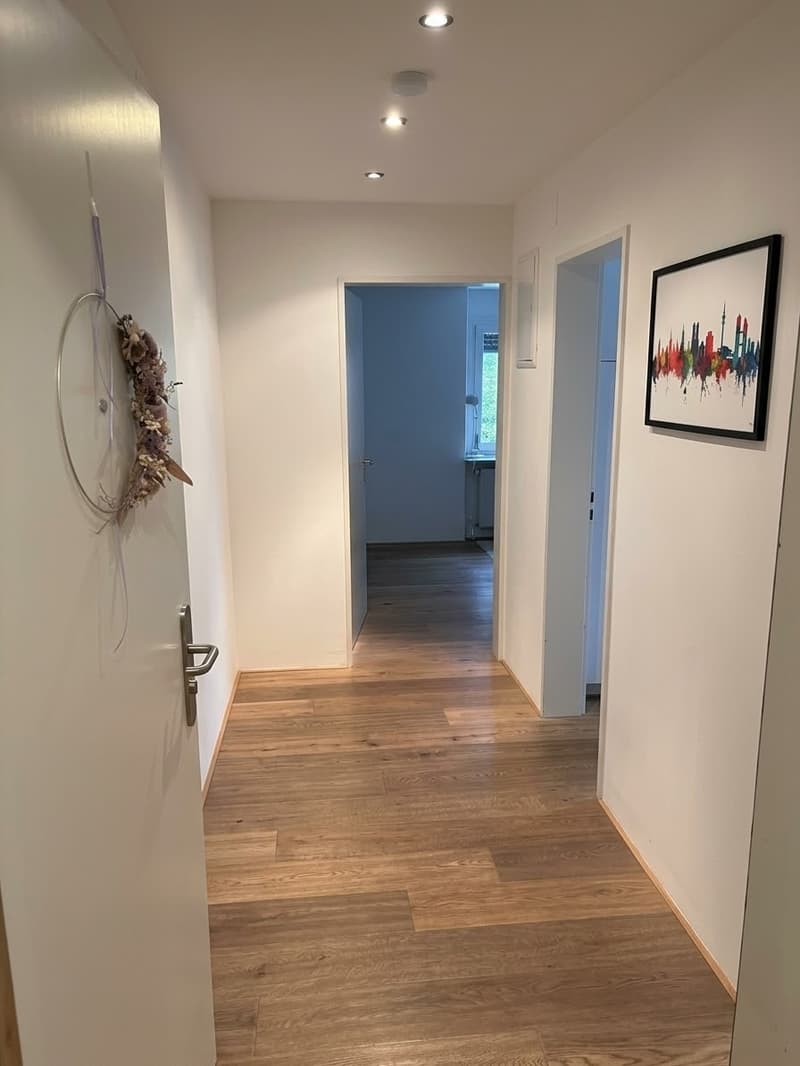 Schöne Wohnung in Zürich-Wiedikon Unmöbliert & Befristet mit Übernahmeoption (2)