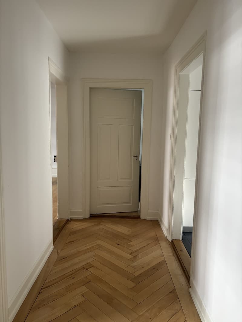 Great and bright flat in Zurich Wiedikon (temporary) (7)