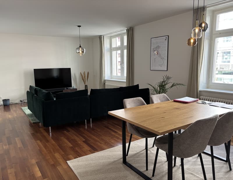 Great and bright flat in Zurich Wiedikon (temporary) (1)