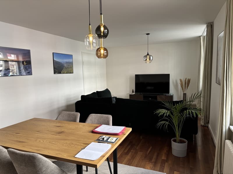 Great and bright flat in Zurich Wiedikon (temporary) (2)