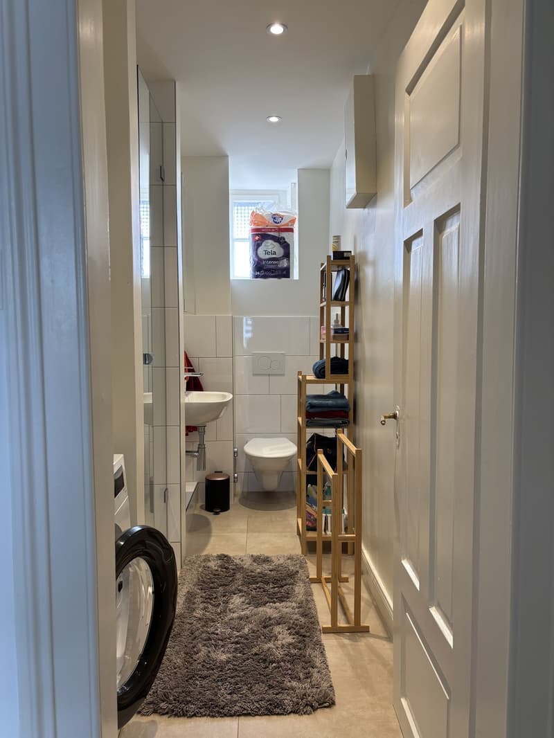 Great and bright flat in Zurich Wiedikon (temporary) (6)
