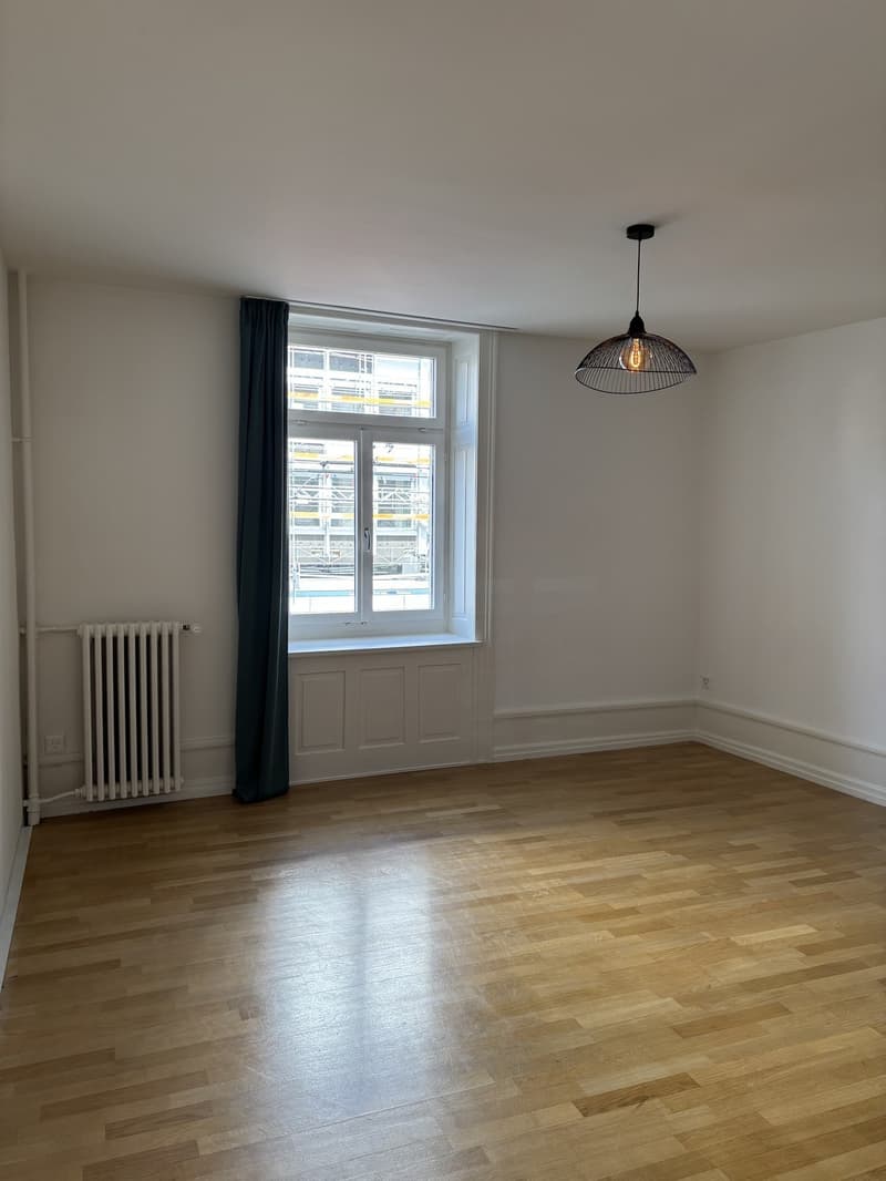Great and bright flat in Zurich Wiedikon (temporary) (4)