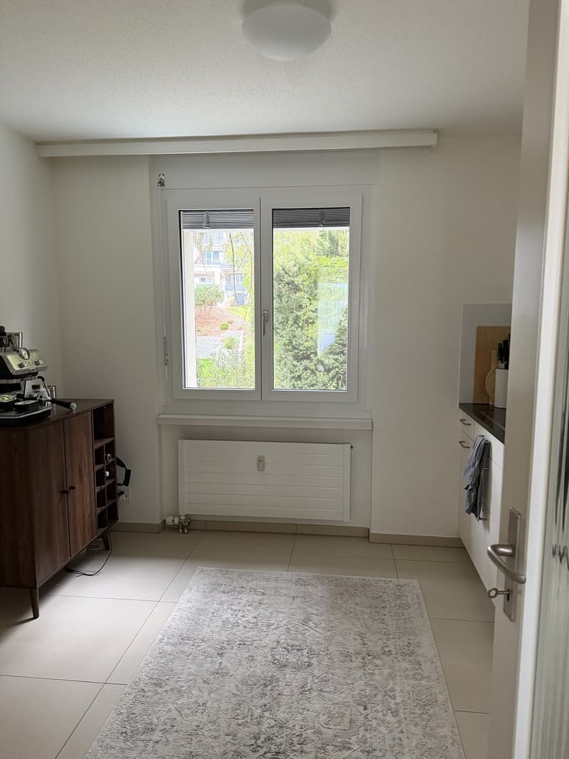 Nachmieter gesucht moderne 2.5-Zimmer-Wohnung mit Terrasse in Oberengstringen (8)