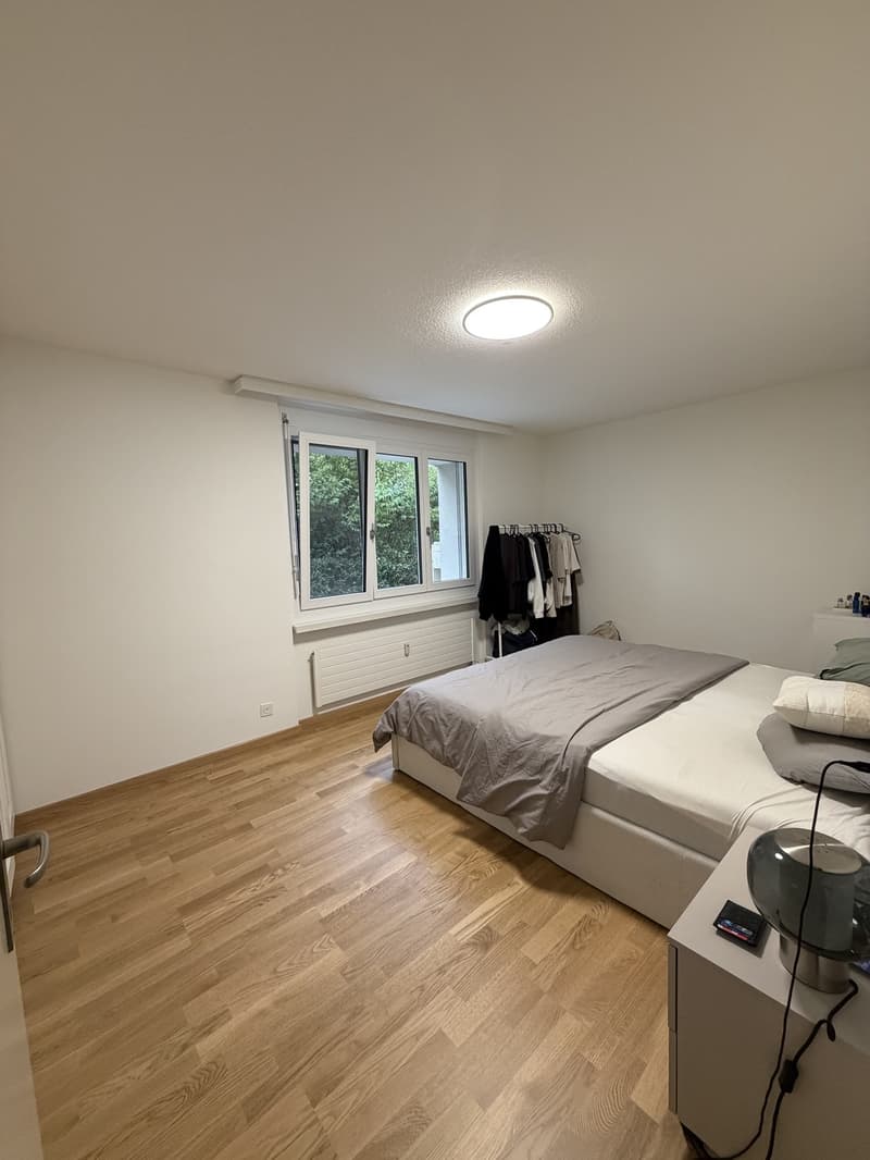 Nachmieter gesucht moderne 2.5-Zimmer-Wohnung mit Terrasse in Oberengstringen (10)