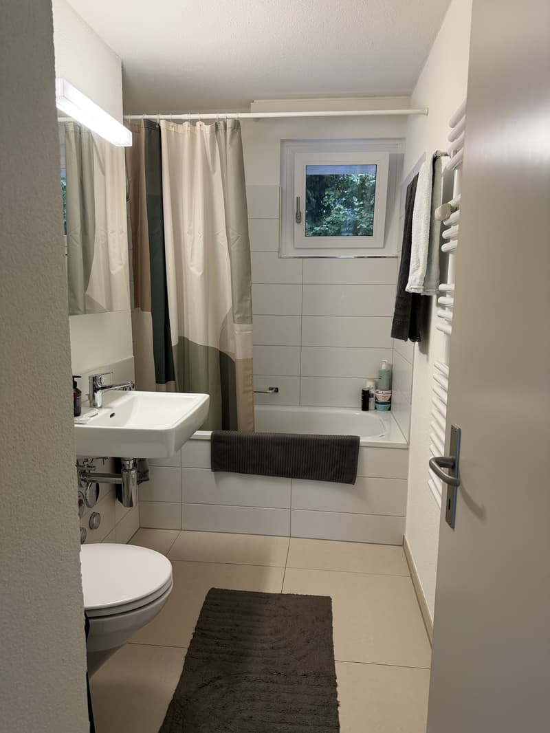 Nachmieter gesucht moderne 2.5-Zimmer-Wohnung mit Terrasse in Oberengstringen (9)