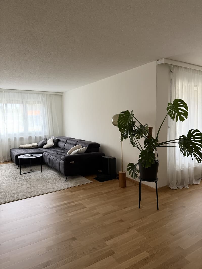 Nachmieter gesucht moderne 2.5-Zimmer-Wohnung mit Terrasse in Oberengstringen (4)