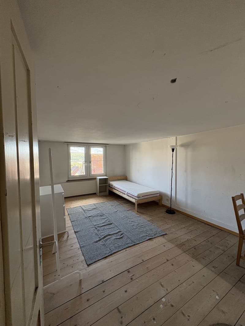 Bright Room in Student House with Large Garden near Winterthur Station (1)