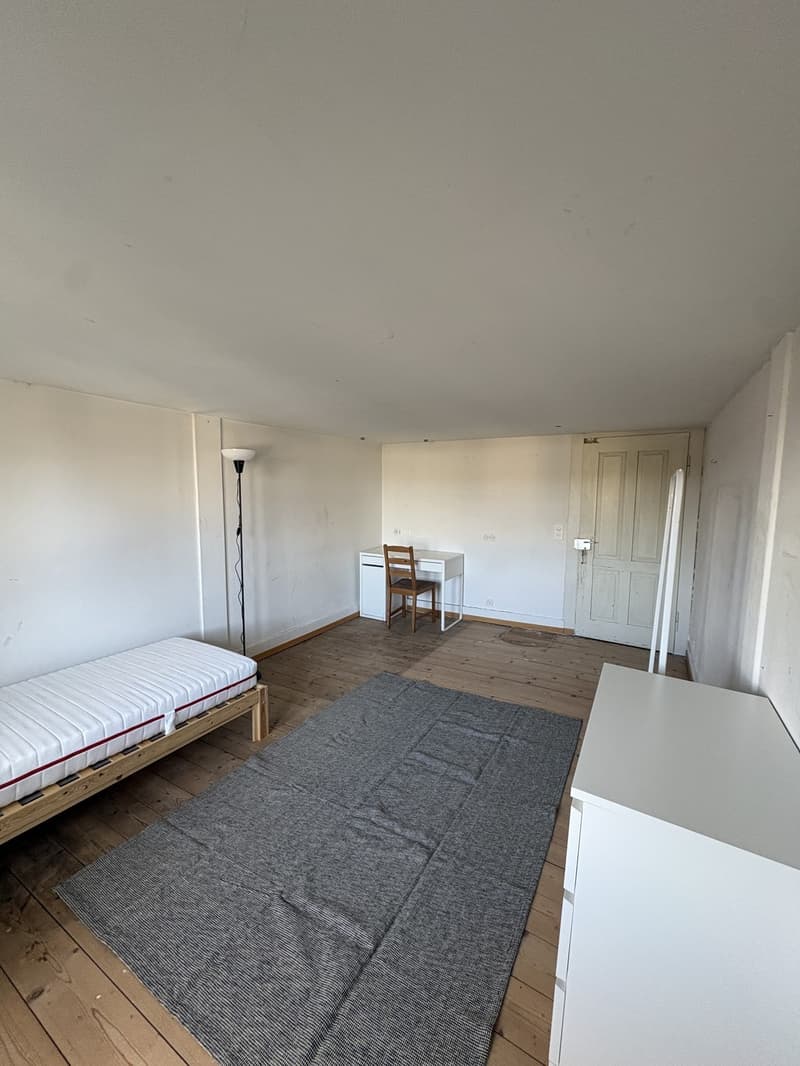Bright Room in Student House with Large Garden near Winterthur Station (2)