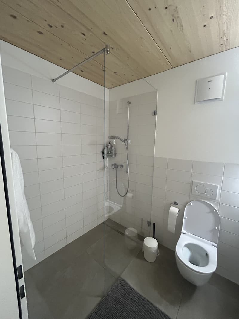 Helle 2.5-Zimmer-Wohnung mit Balkon und schöner Aussicht in steuergünstigem Unterengstringen (6)
