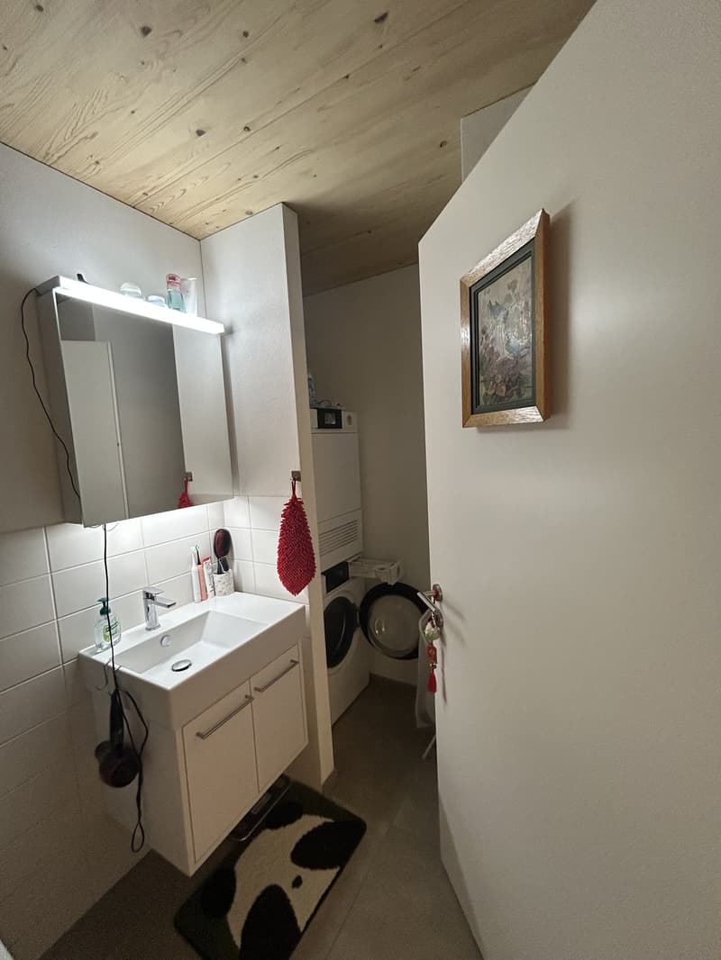 Helle 2.5-Zimmer-Wohnung mit Balkon und schöner Aussicht in steuergünstigem Unterengstringen (7)