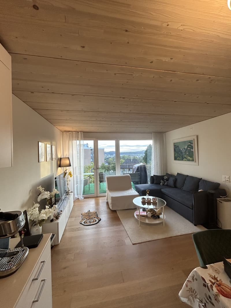 Helle 2.5-Zimmer-Wohnung mit Balkon und schöner Aussicht in steuergünstigem Unterengstringen (3)