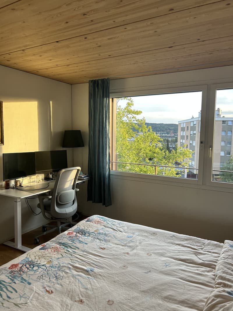 Helle 2.5-Zimmer-Wohnung mit Balkon und schöner Aussicht in steuergünstigem Unterengstringen (9)