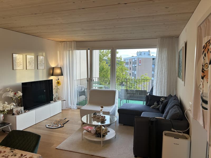 Helle 2.5-Zimmer-Wohnung mit Balkon und schöner Aussicht in steuergünstigem Unterengstringen (2)
