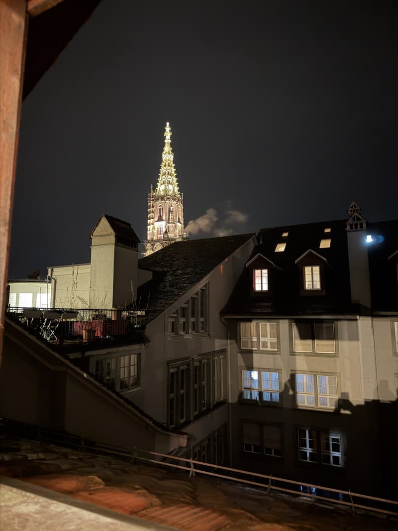 Wohnen unter dem Dach in der Altstadt: 2.5-Zimmer-Galeriewohnung (12)