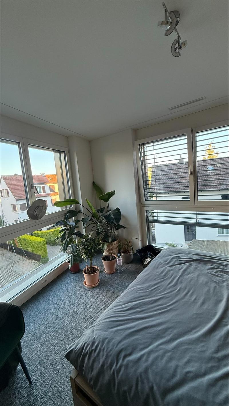 Room to rent immediately (2)