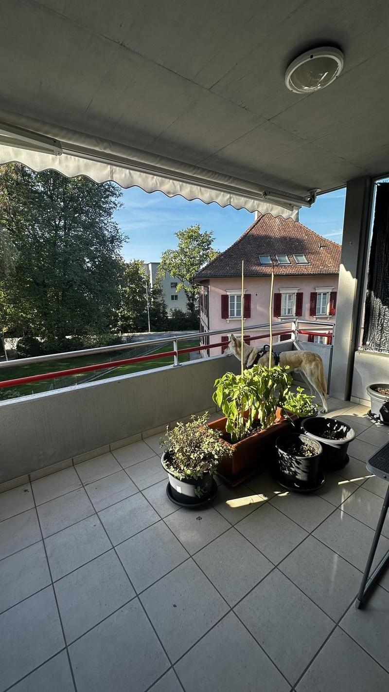 Gemuetliche 4.5-Zimmer-Wohnung in Dagmersellen zu vermieten (5)