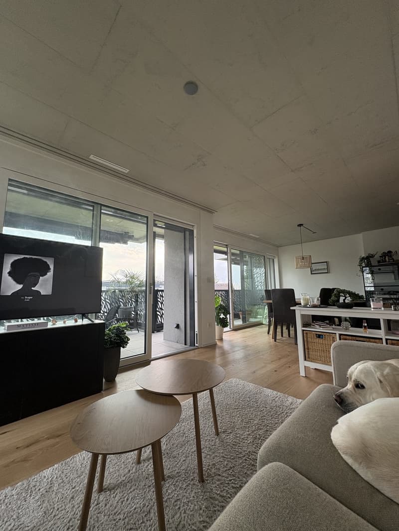 Nachmieter gesucht! Moderne Wohnung per sofort zu vermieten (5)