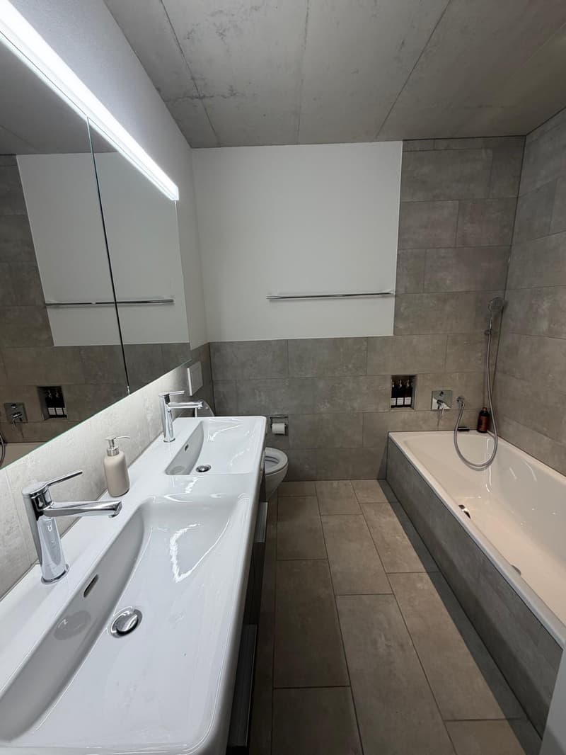 Nachmieter gesucht! Moderne Wohnung per sofort zu vermieten (9)